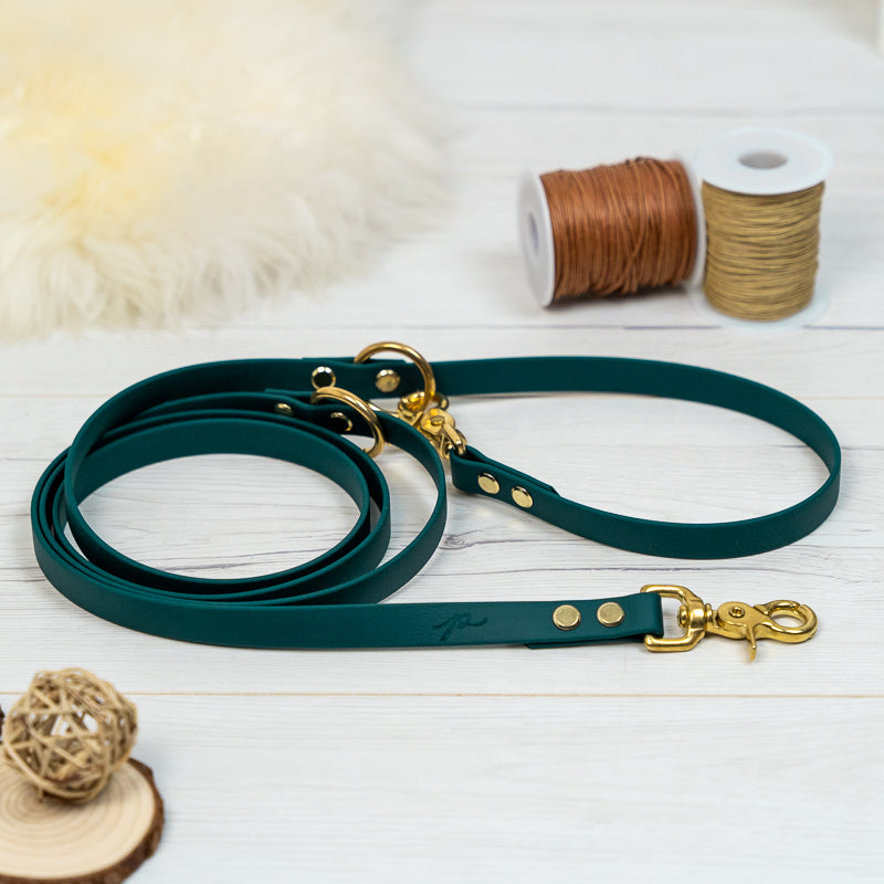 BioThane® Hundeleine | FOREST