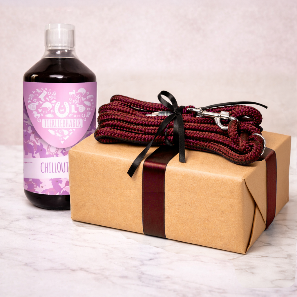 Überraschungsbox 🐴