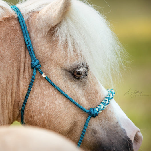 Gestalte dein Knotenhalfter