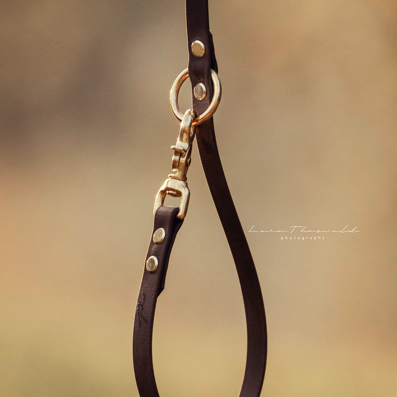 BioThane® Hundeleine | BROWN