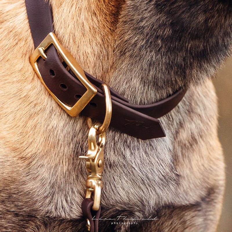 BioThane® Halsband | BROWN