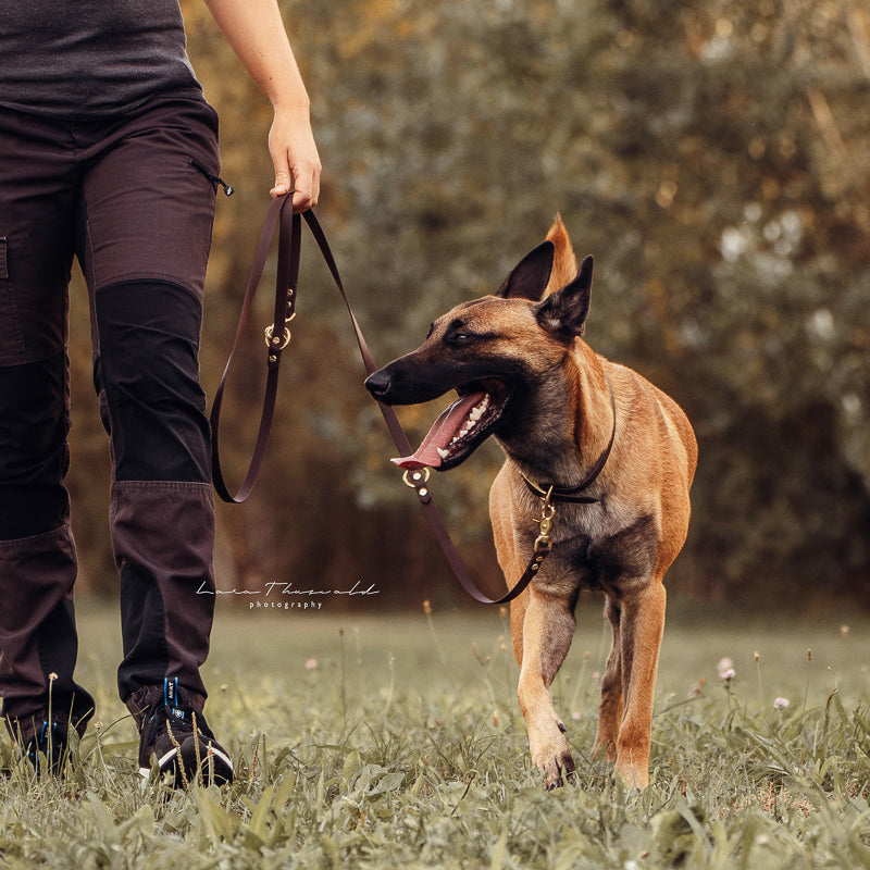 BioThane® Set | BROWN