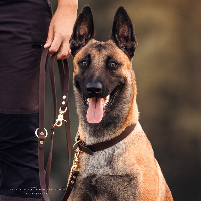 BioThane® Hundeleine | BROWN