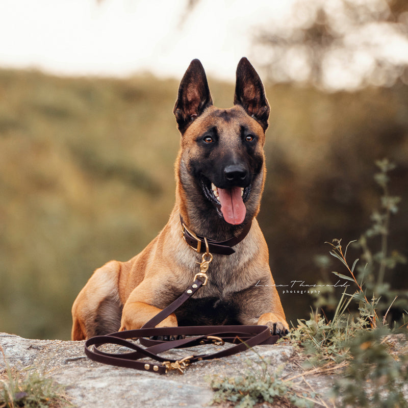 BioThane® Set | BROWN