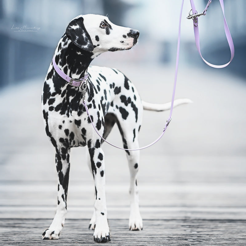 BioThane® Set | FLIEDER