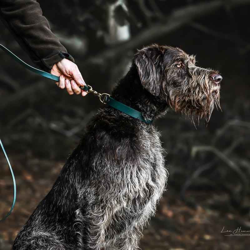 BioThane® Set | FOREST