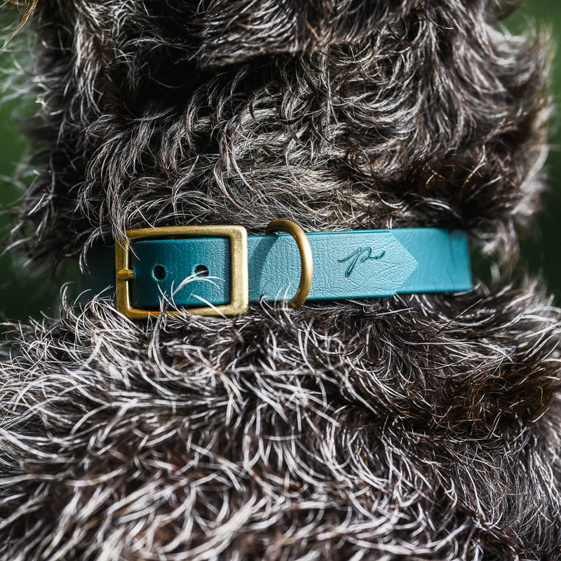 BioThane® Set | FOREST