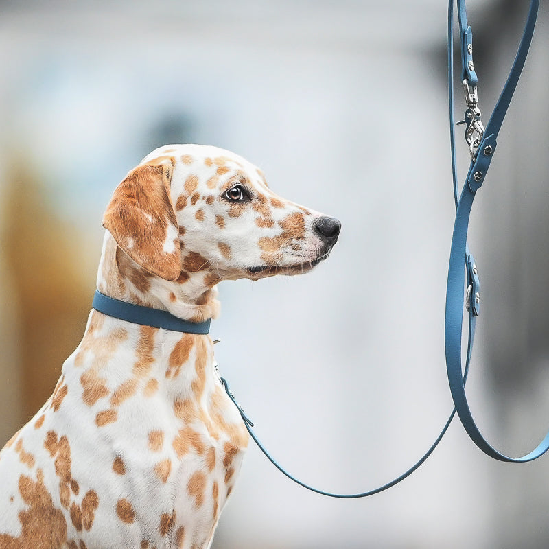 BioThane® Set | SKY BLUE