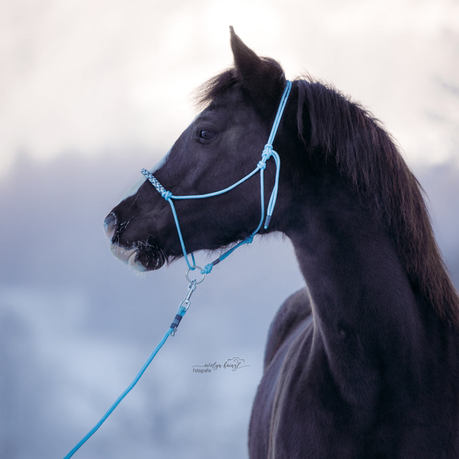 Knotenhalfter | HIMMELBLAU ❄️