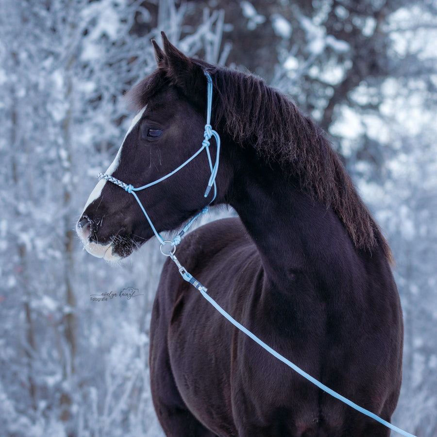 Bodenarbeitsseil | HIMMELBLAU ❄️