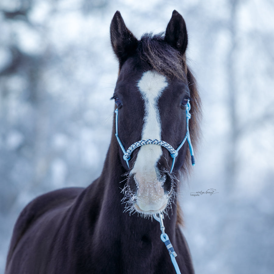 Set | HIMMELBLAU ❄️