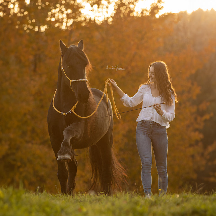 Set | HONEY POOH 🍁