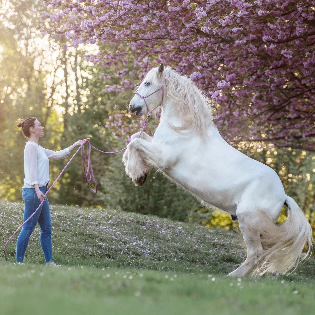 Bodenarbeitsseil | SPRINGRÖSCHEN 🌸
