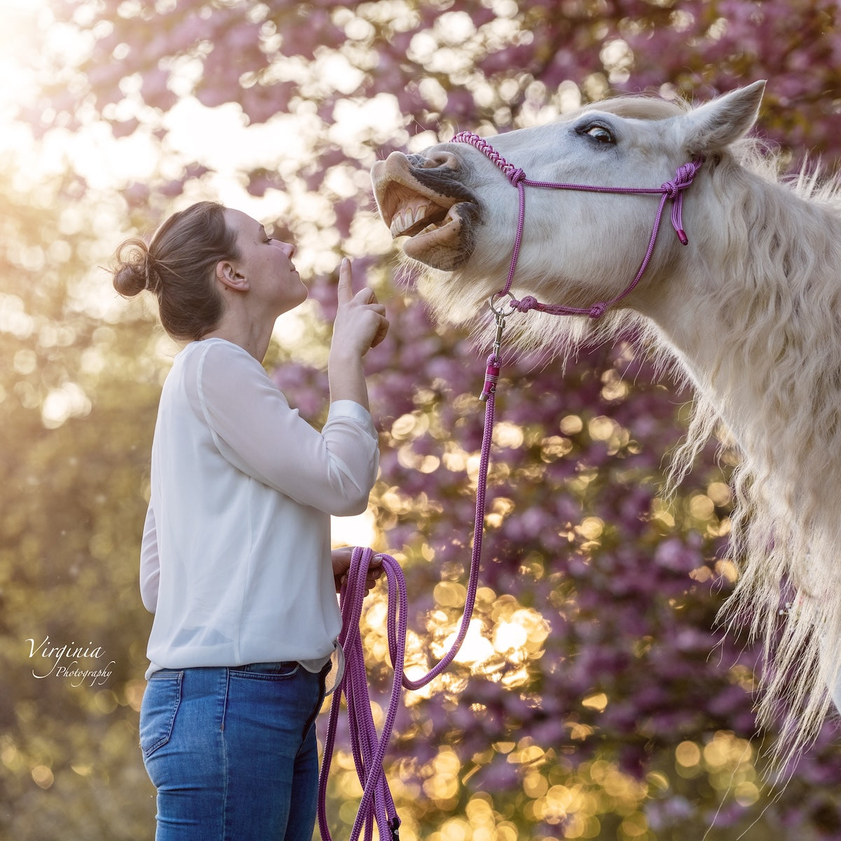 Set | SPRINGRÖSCHEN 🌸