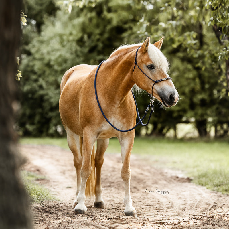 Knotenhalfter | FINDET NAVY