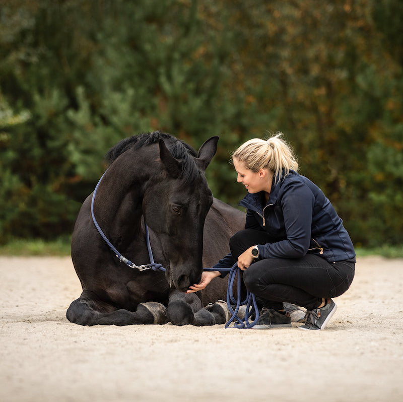 Bodenarbeitsseil "Navy"