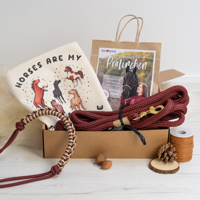 Geschenkbox 🐴