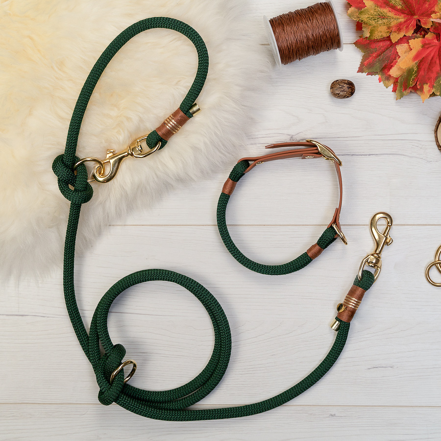 Halsband & Leine