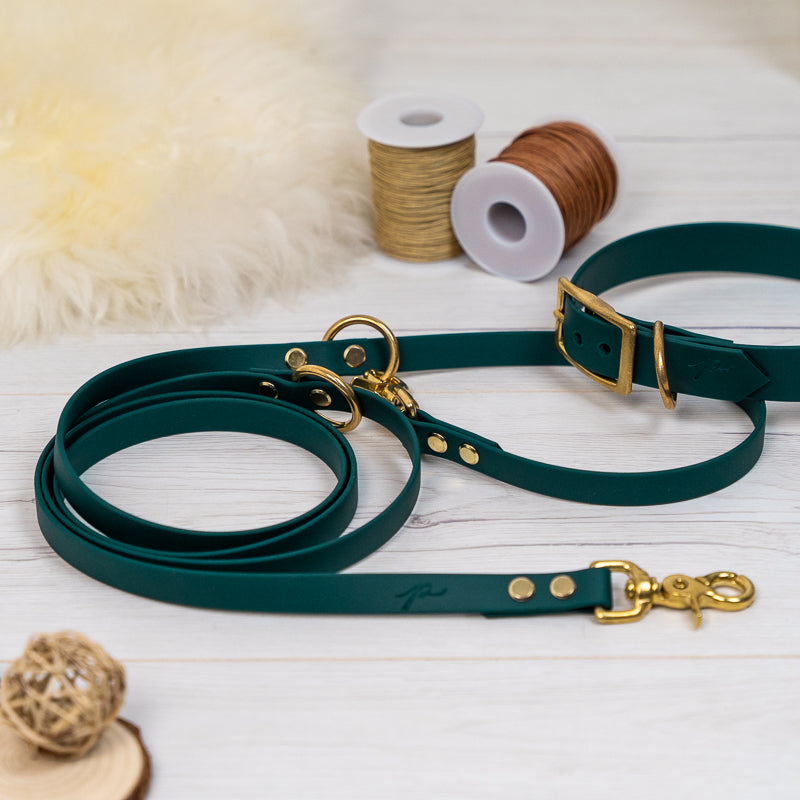 BioThane® Hundeleine | FOREST