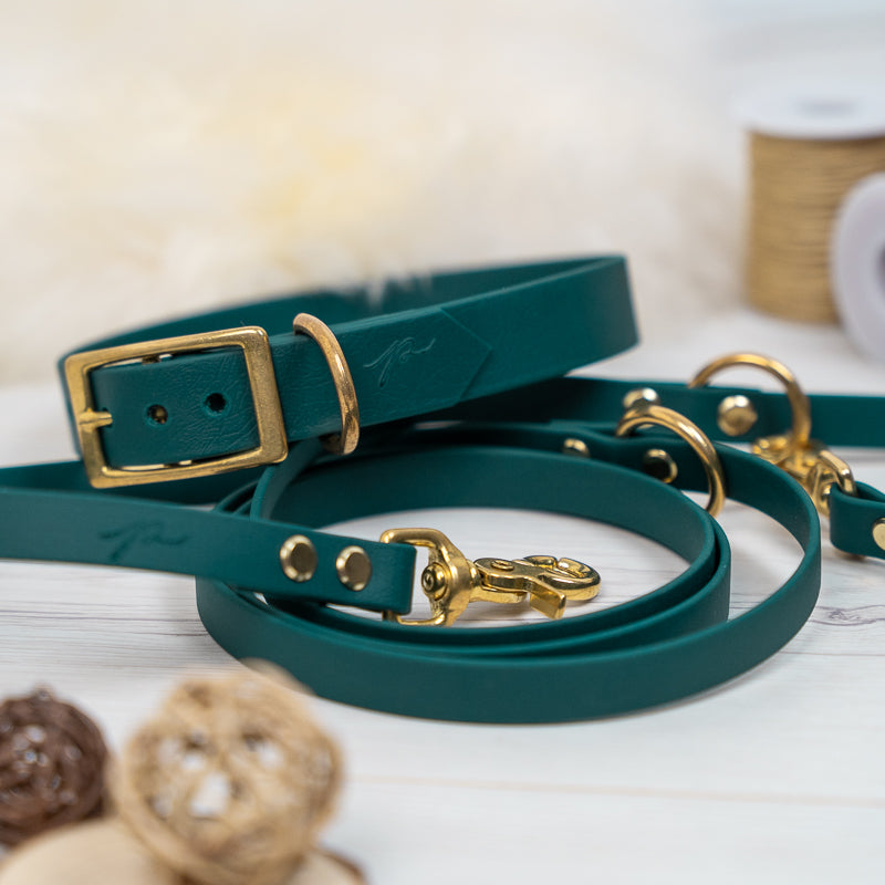 BioThane® Halsband | FOREST