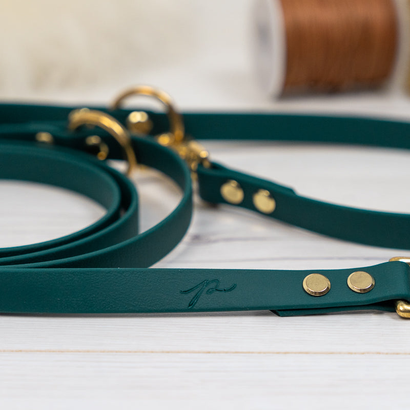 BioThane® Hundeleine | FOREST