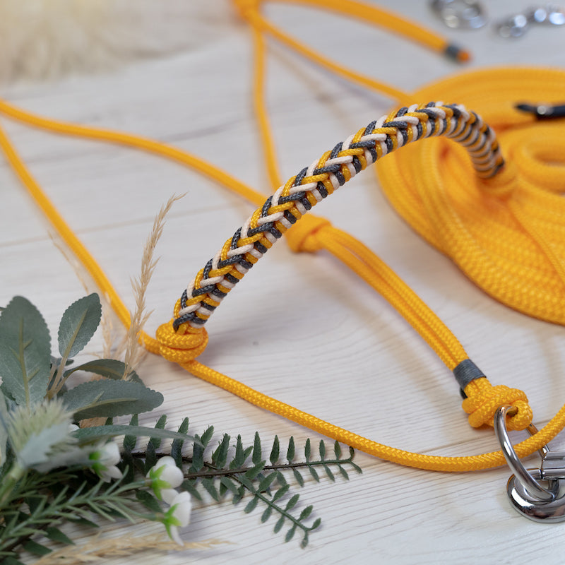 Kollektion "Honey Pooh"