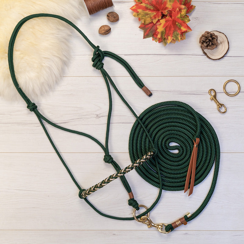 Set | FAST & FOREST 🍁