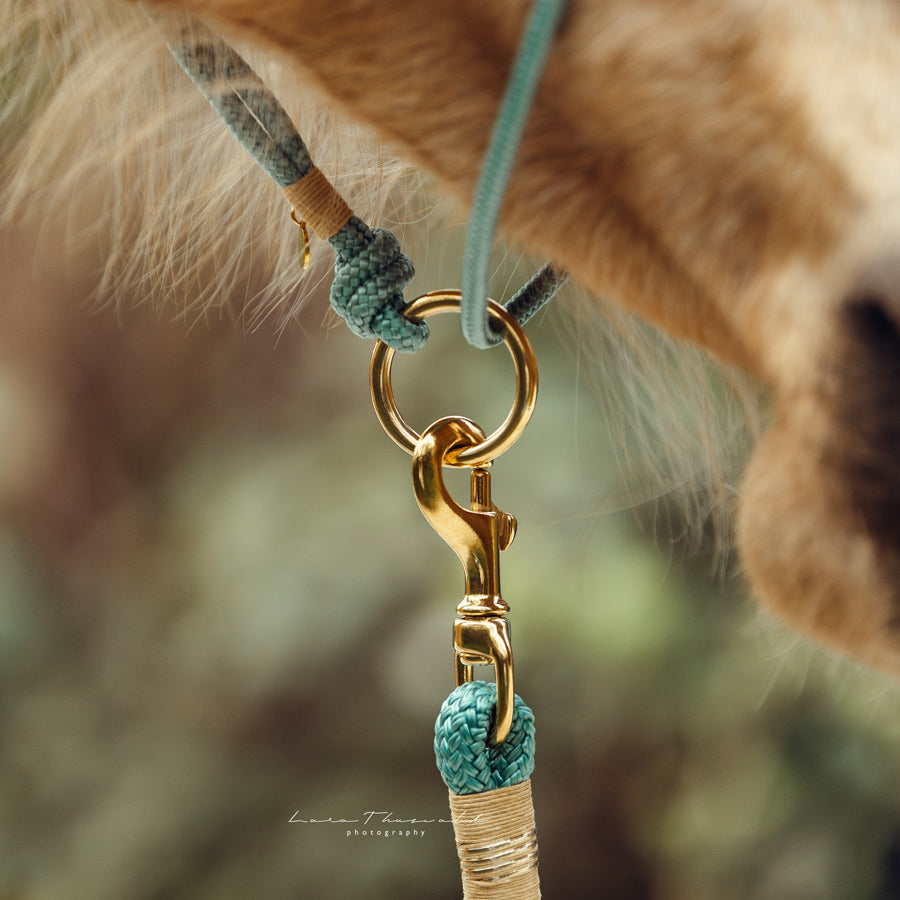 Gestalte dein Knotenhalfter