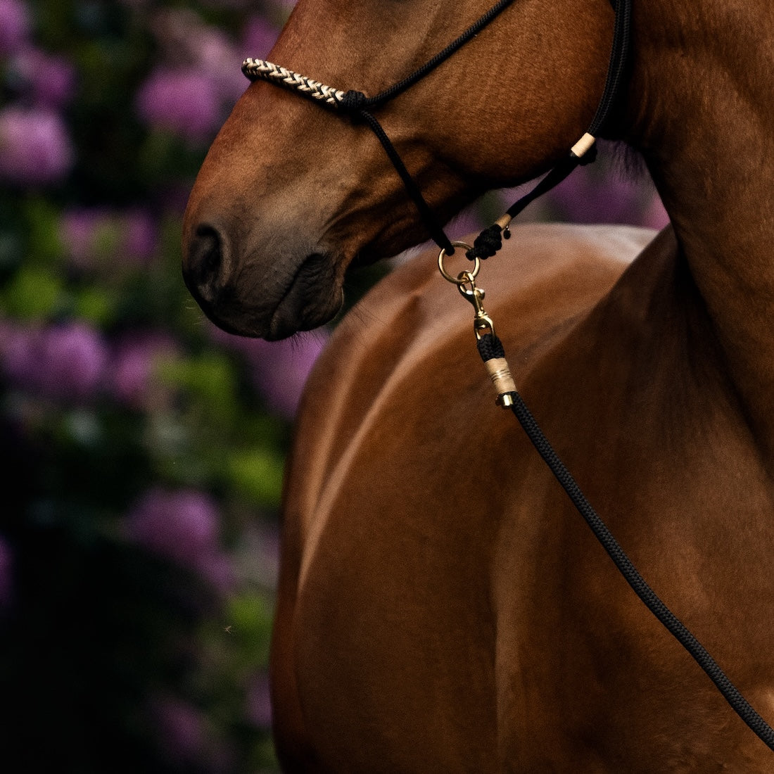 Knotenhalfter | BLACK BEAUTY