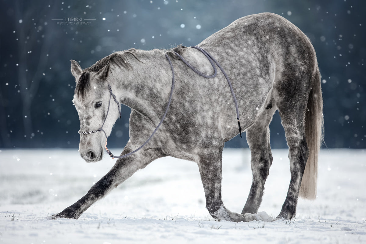 Winterkollektion ❄️