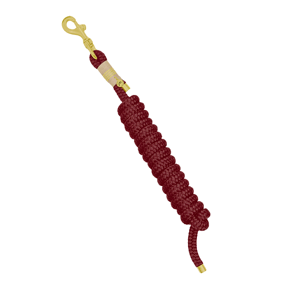 Gestalte deinen Führstrick