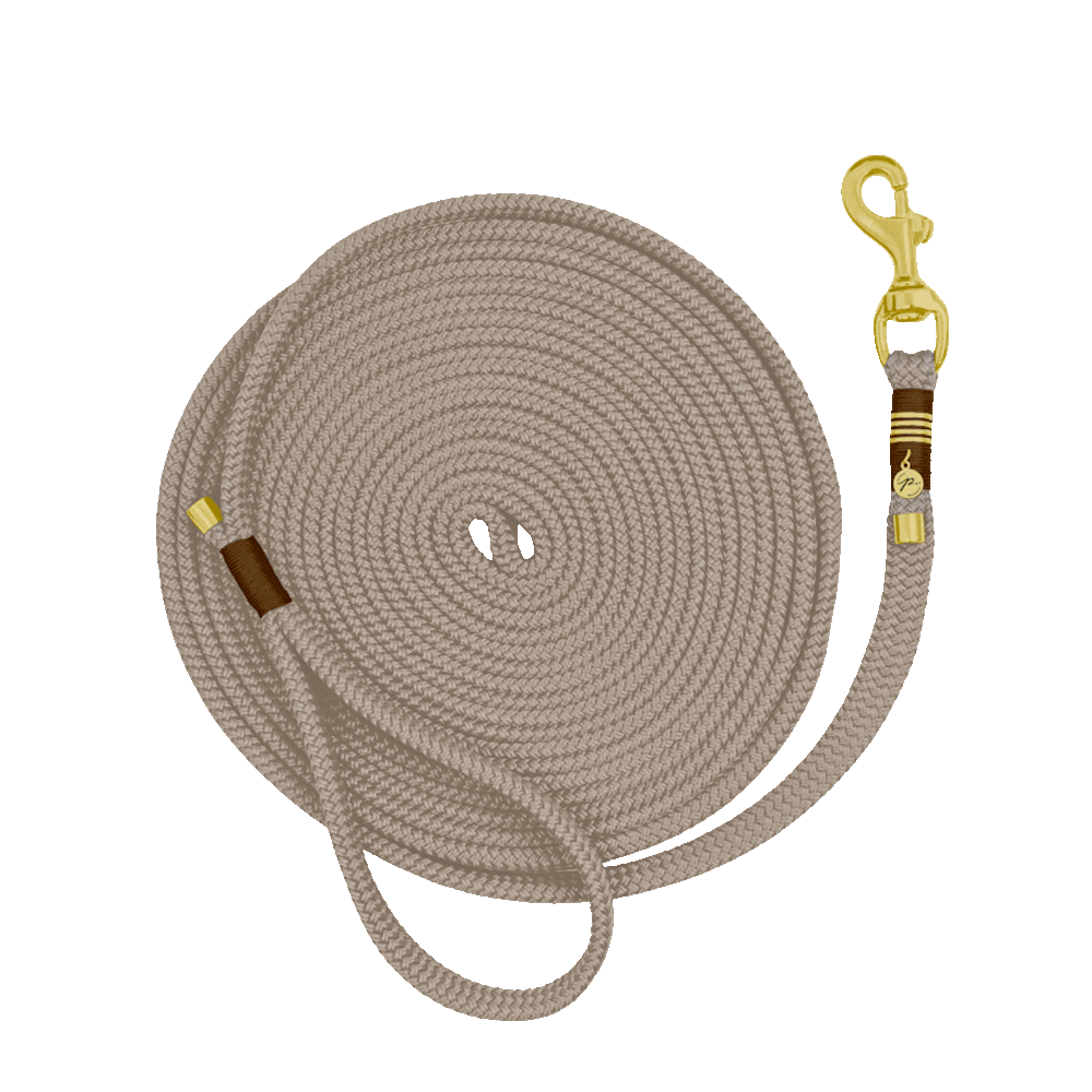 Gestalte deine Longe