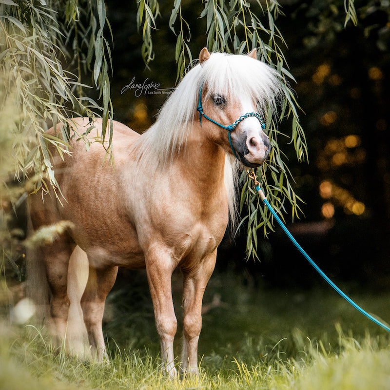 Bodenarbeitsseil "Petrol"