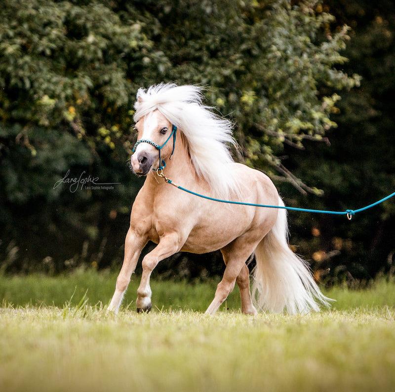 Bodenarbeitsseil "Petrol"