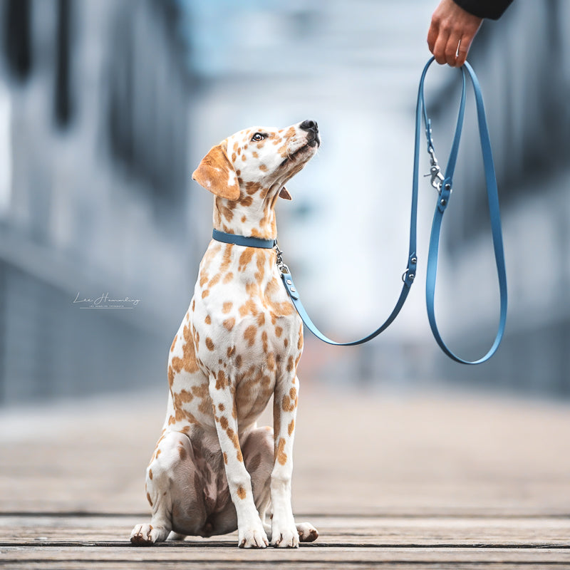 BioThane® Hundeleine | SKY BLUE