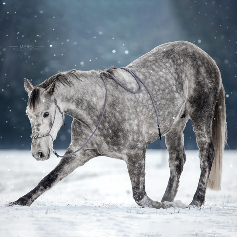 Bodenarbeitsseil | HÄNSEL &amp; GREYTEL ❄️