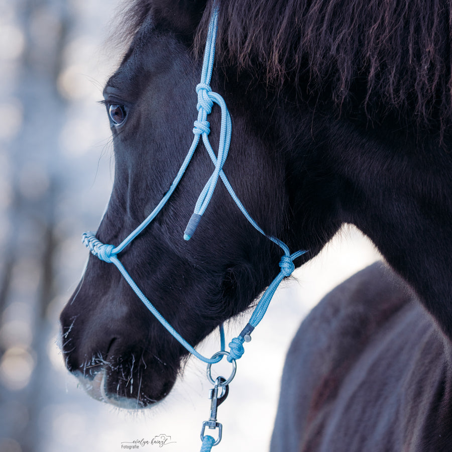 Knotenhalfter "Himmelblau"