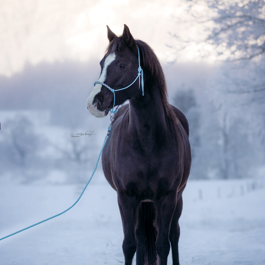 Set | HIMMELBLAU ❄️