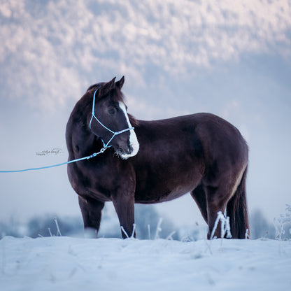 Bodenarbeitsseil | HIMMELBLAU ❄️