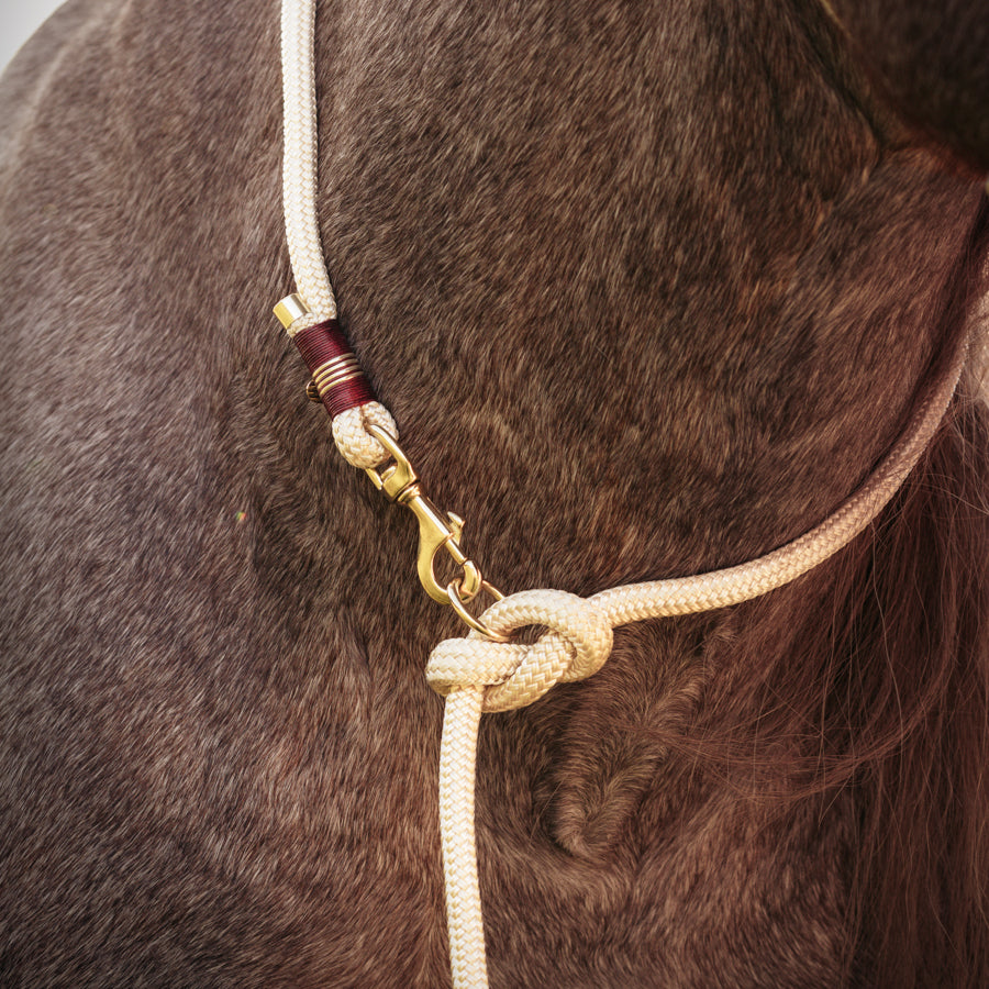 Bodenarbeitsseil "Vanille"