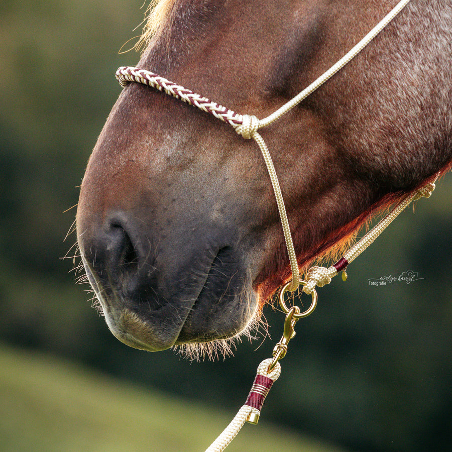 Knotenhalfter "Vanille"