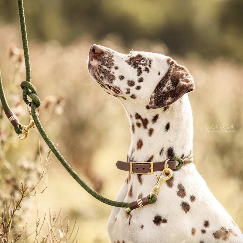 Set | PRINZESSIN AUF DER OLIVE