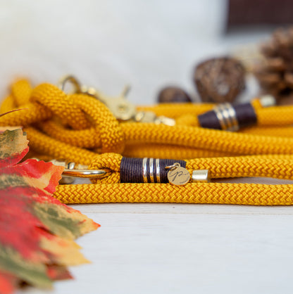 Halsband &amp; Leine