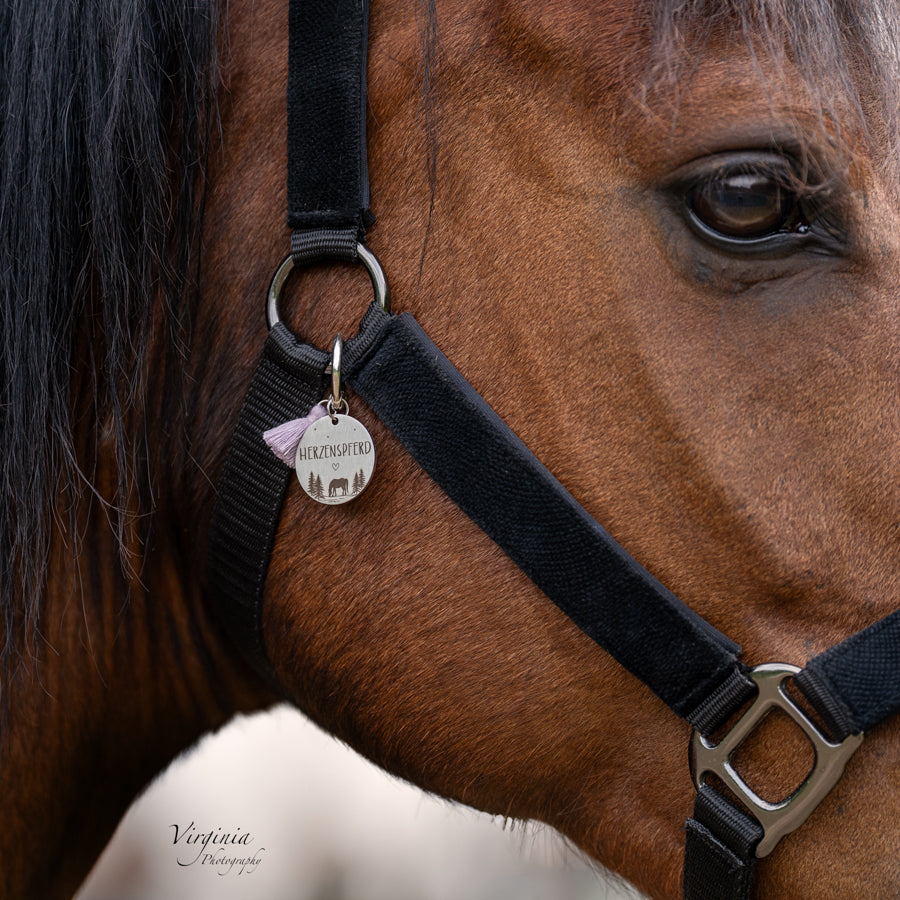 Marke "Herzenspferd"