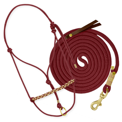 Set "Bordeaux"