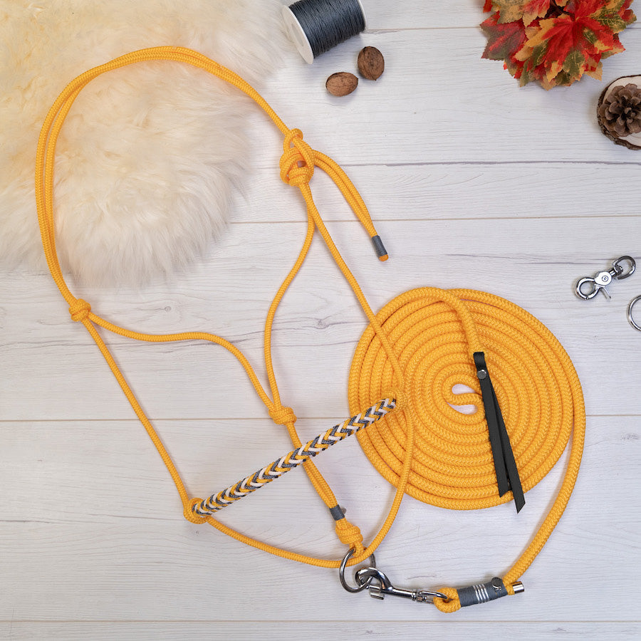 Set | HONEY POOH 🍁