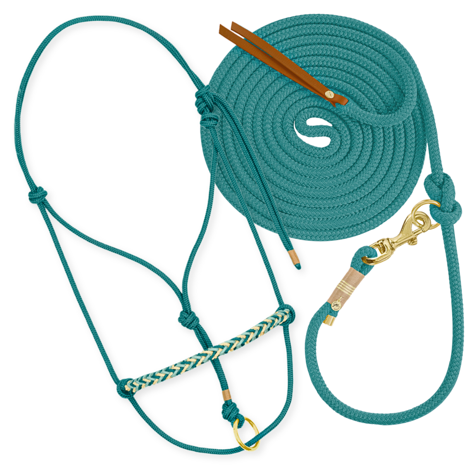 Set "Petrol"