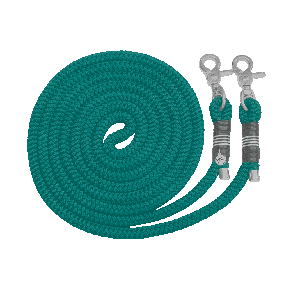 Gestalte deine Zügel